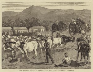 Der Afghanische Krieg, erbeutete Kanonen bei Ali Musjid betreten Peshawur